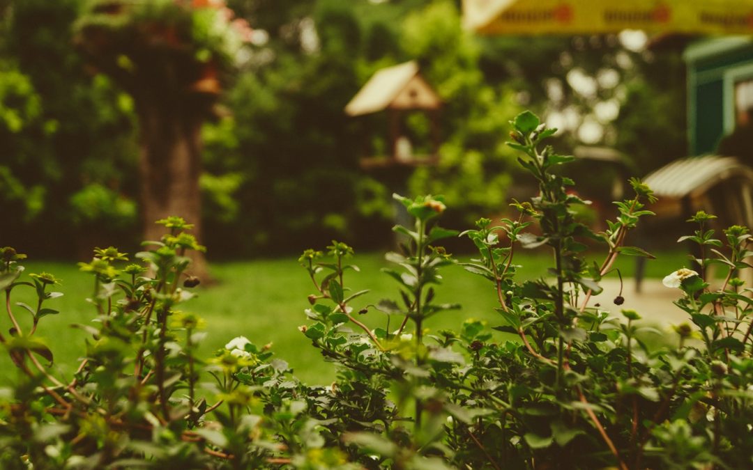 Que prévoit la loi sur le jardinage